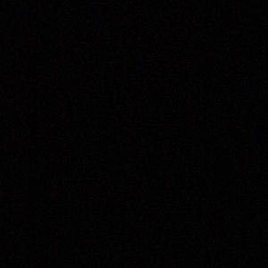 Meet your Posher, Rene